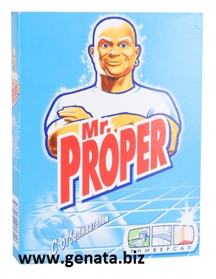 Picture of Mr Proper